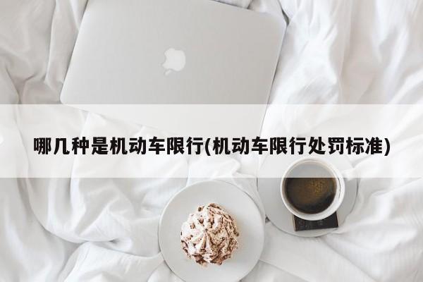 哪几种是机动车限行(机动车限行处罚标准)
