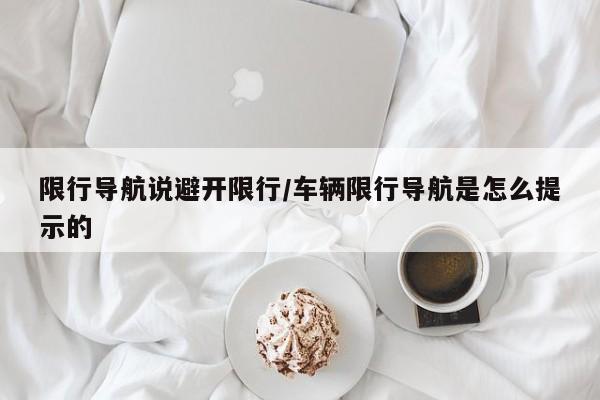 限行导航说避开限行/车辆限行导航是怎么提示的