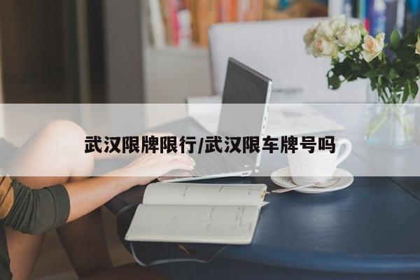 武汉限牌限行/武汉限车牌号吗